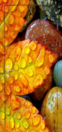 Фотография «Дверь с фотопечатью №9»